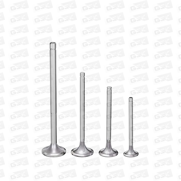 SUPAP - GSK-S1000 - 4 376 861